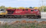 CP 8795